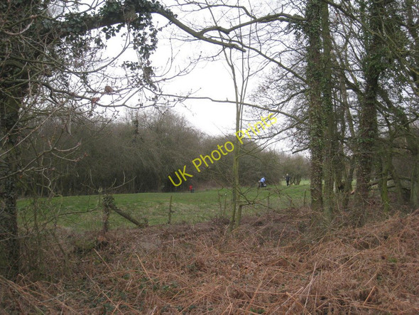 Photo 6"x4" A glimpse of the golf course Wrawby c2011