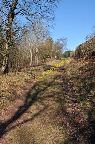Photo 6"x4" Track in the Vale of Grwyney Llanbedr\/SO2320 c2011
