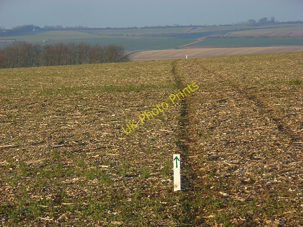 Photo 6"x4" Farmland, Broad Chalke Stoke Farthing c2008