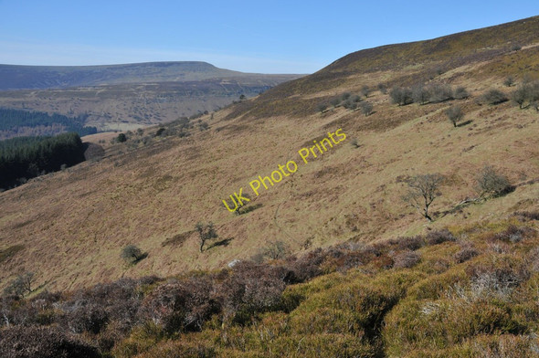 Photo 6"x4" View from Pen Gwyllt Meirch Mynydd Du Forest c2011