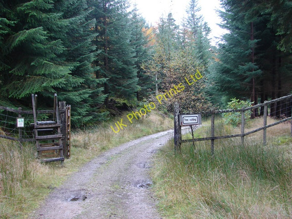 Photo 6"x4" Open gate on the track beside Loch Ossian Loch Ossian\/NN4068 c2006