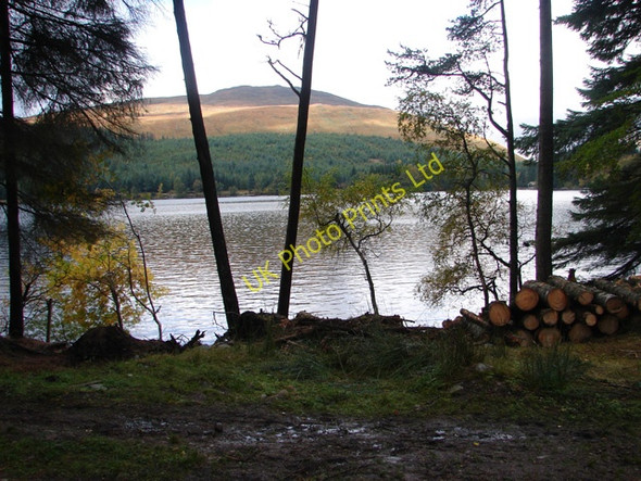 Photo 6"x4" Stacked logs beside Loch Ossian Corrour Shooting Lodge c2006