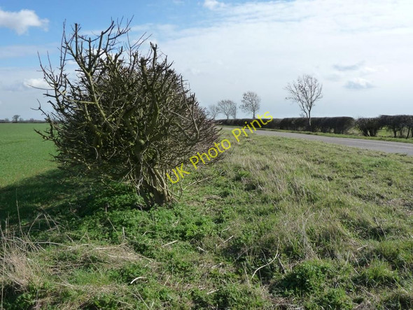 Photo 6"x4" A gap in the hedge Greetham\/SK9214 c2011