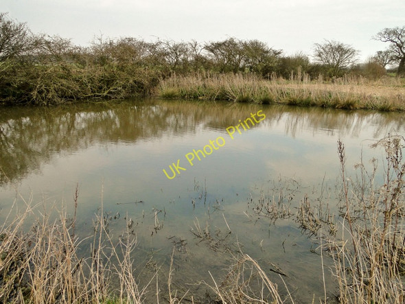 Photo 6"x4" Pond on Wood Farm, Sibton Hemp Green c2011