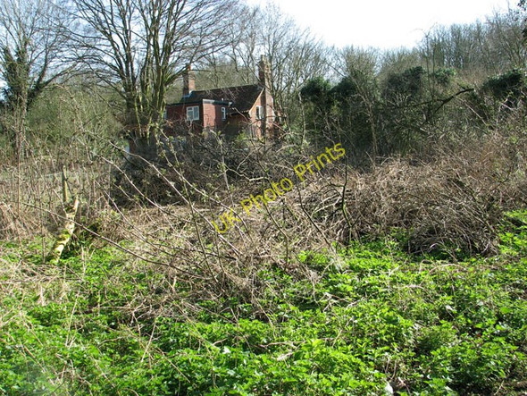 Photo 6"x4" Cottage on the edge of Ryehill Plantation Barford\/TG1107 c2011