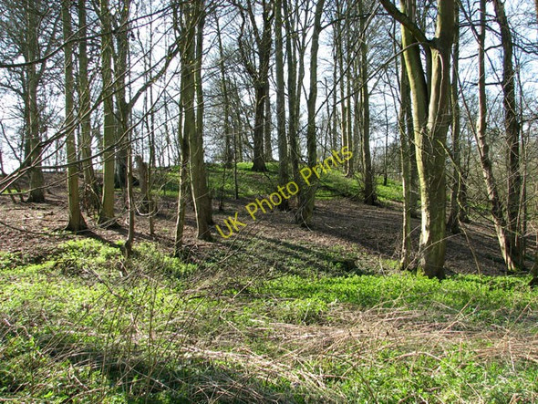 Photo 6"x4" Ryehill Plantation, Barford Barford\/TG1107 c2011