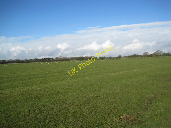 Photo 6"x4" Grazing land near Bygate Black Heddon\/NZ0776 c2011