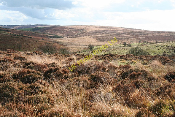 Photo 6"x4" Molland: above Soakey Moor Champson c2006