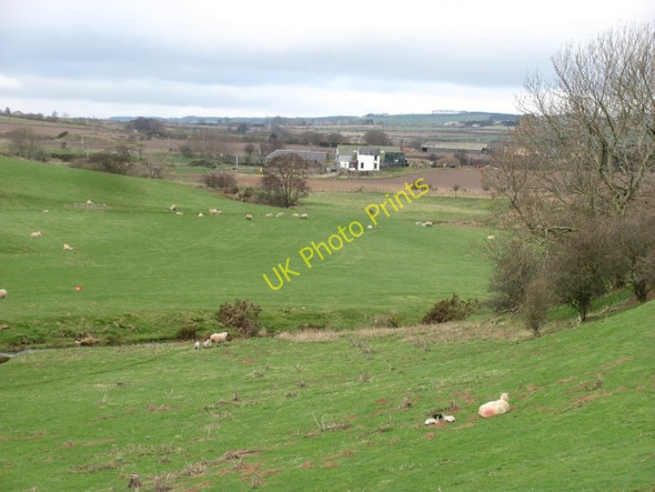 Photo 6"x4" Eye Water Reston\/NT8862 c2011