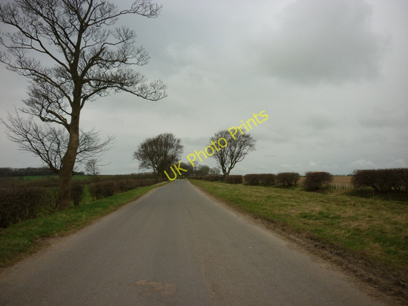 Photo 6"x4" A Roman Road towards Leavening Brow Painsthorpe c2011