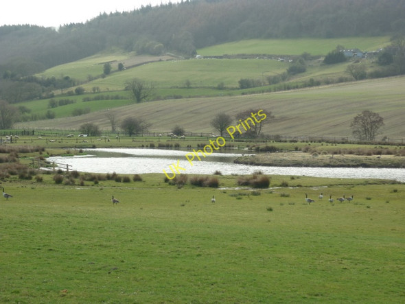 Photo 6"x4" A pond at Hardwick Farm, Harwood Dale Harwood Dale c2011