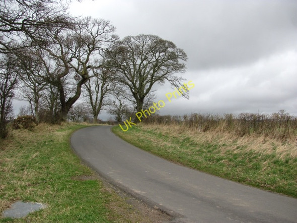 Photo 6"x4" Hutton to Chirnside road Hutton\/NT9053 c2011