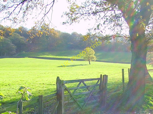 Photo 6"x4" Over the farmer's gate Hoghton c2010