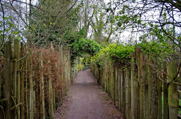 Photo 6"x4" The footpath from Gas Lane to Dilly's Bridge and the River Coln, Fairford Fairford c2011