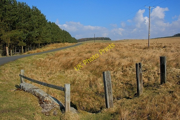 Photo 6"x4" Old Fence near Midge Hole East Woodburn c2011