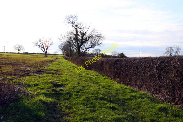 Photo 6"x4" Footpath west of Malmesbury along the hedgerow Malmesbury c2011