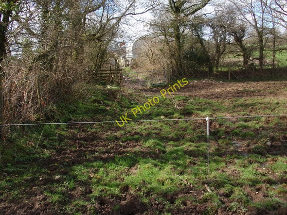Photo 6"x4" Llwybr Waun Oleu Fach  \/ Waun Oleu Fach footpath Gellywen\/SN2723 c2011