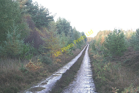 Photo 6"x4" Stoney Hill Mulben c2006