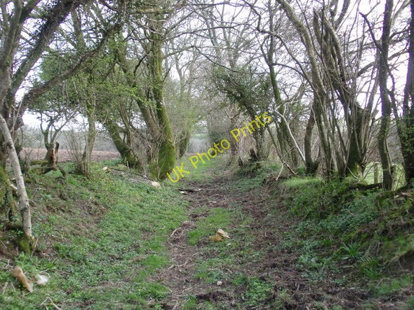 Photo 6"x4" Llwybr cyhoeddus Bwlchygwynt \/ Bwlchygwynt  public footpath Gellywen\/SN2723 c2011