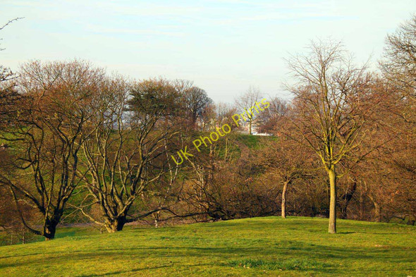 Photo 6"x4" Greenwich Park Greenwich\/TQ3977 c2011