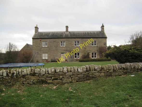 Photo 6"x4" Frolic near Capheaton Capheaton c2011