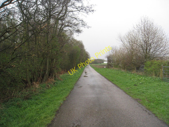 Photo 6"x4" The lane to Ellerholme Farm Woodside\/SE7103 c2011