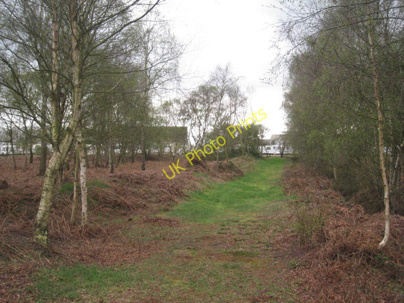 Photo 6"x4" Track to Ellerholme Farm Woodside\/SE7103 c2011