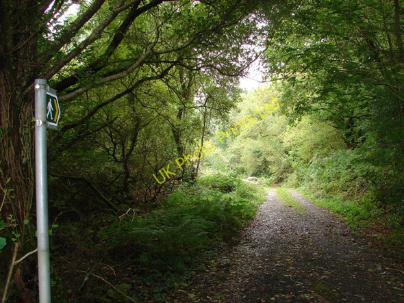 Photo 6"x4" Waymarked track near Caeceinach Cwrt\/SH6800 c2006