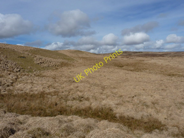 Photo 6"x4" At the edge of Rhos Fign bog Llyn y Figyn c2011