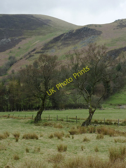 Photo 6"x4" Valley floor and crags, Cwm Berwyn, Ceredigion Afon Berwyn c2011