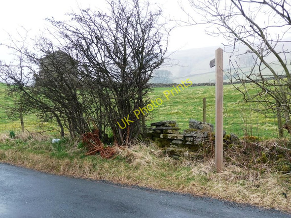 Photo 6"x4" Footpath to Castlethwaite Outhgill c2011