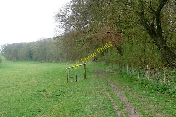 Photo 6"x4" Footpath towards Bere Mill Freefolk c2011