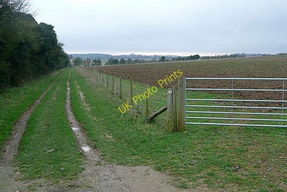 Photo 6"x4" Footpath to Laverstoke Farm Laverstoke c2011