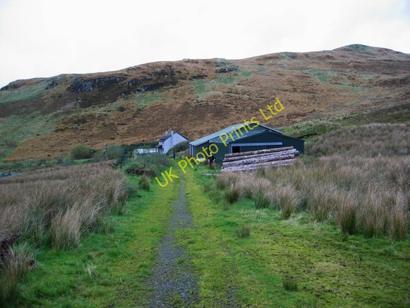 Photo 6"x4" Croft in Sumardale Coillore c2006