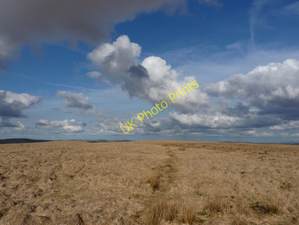 Photo 6"x4" Along the 'ridge' of Priddellau Priddellau c2011