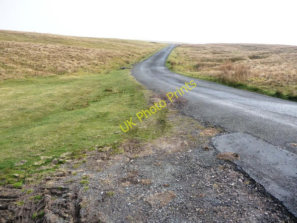 Photo 6"x4" Tommy Road Shoregill c2011