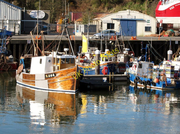 Photo 6"x4" Lobster boats at Kilkeel Harbour Kilkeel c2011