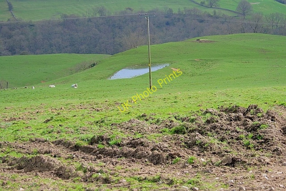 Photo 6"x4" Pond, near Throwley Hall Calton\/SK1050 c2011