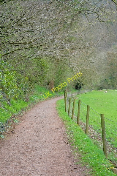 Photo 6"x4" Permissive Path by the River Manifold Ilam c2011