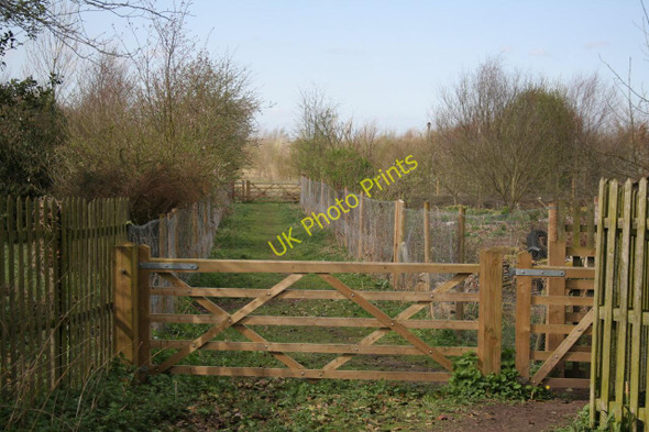 Photo 6"x4" Footpath at Misterton Soss Misterton Soss c2011