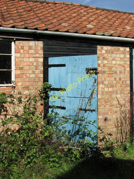 Photo 6"x4" Overgrown shed door, East Dereham Dumpling Green c2011