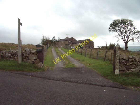 Photo 6"x4" The road to Blackmoor Gate Helbeck c2006