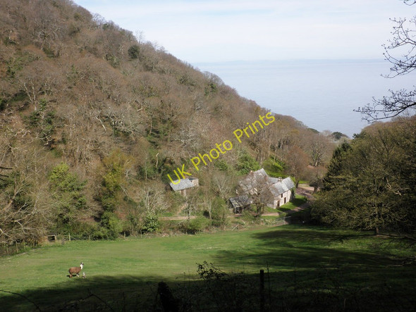 Photo 6"x4" Home Farm, Glenthorne Malmsmead c2011
