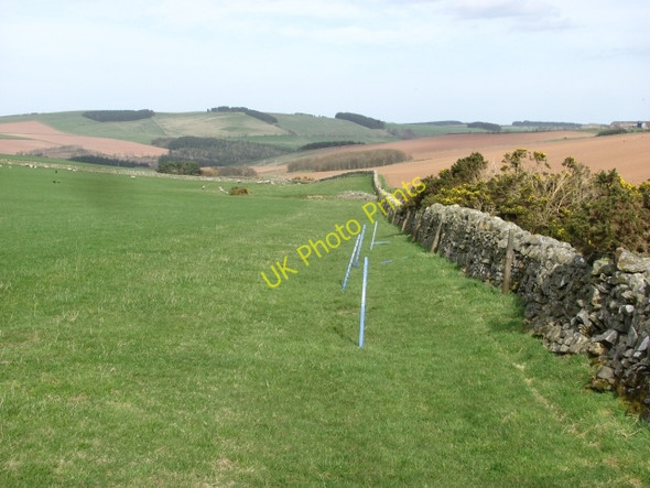 Photo 6"x4" Looking down the Brockholes Burn Grantshouse c2011