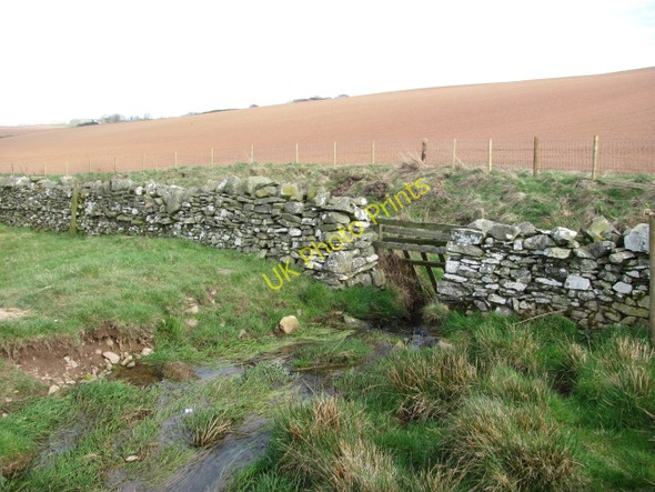 Photo 6"x4" Brockholes Burn Houndwood c2011