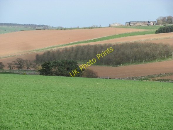 Photo 6"x4" Woods and arable land, Brockholes Houndwood c2011