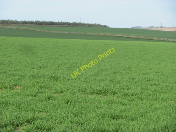 Photo 6"x4" Arable land, Brockholes Grantshouse c2011