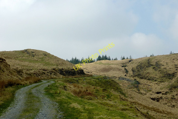 Photo 6"x4" Forestry road north-west of Soar-y-Mynydd, Ceredigion Soar y Mynydd c2011
