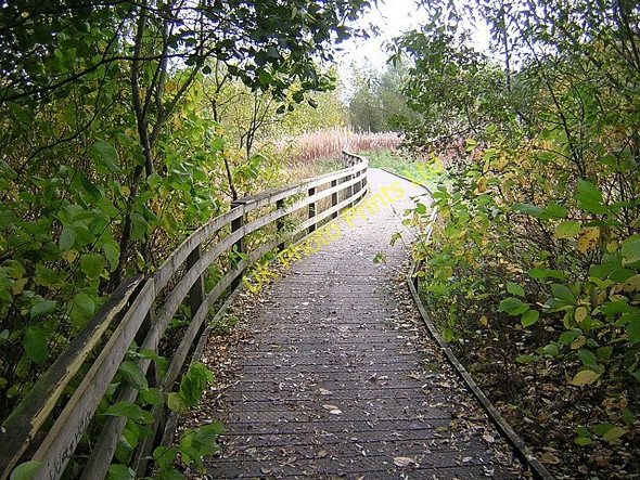 Photo 6"x4" Footpath Near Calder Water Kelvin\/NS6352 c2006