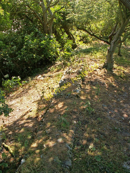 Photo 6"x4" Remains of precinct wall, St Benet's Abbey Thurne c2006
